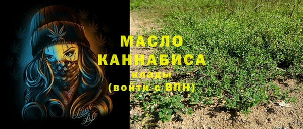 гашик Осинники