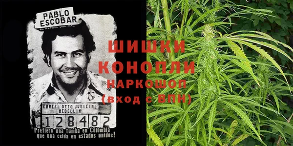 PSILOCYBIN Нягань