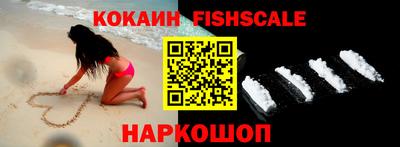 крисы Абакан