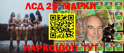 крисы Абакан