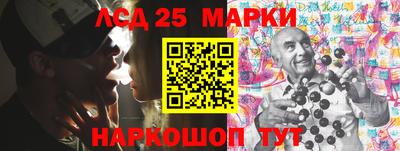 крисы Абакан