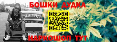 крисы Абакан